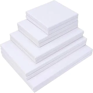 BPA® Stretched White Blank Canvas Artist Canvas Board Wood Painting Panel Boards for DIY Drawing, 10 Pcs