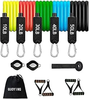 AMERTEER Resistance Bands for Working Out | Exercise Bands | Fitness Band 5 Stackable Tube Bands, Door Anchor Handles, Ankle Strap Carry Bag Cooling Towel | Resistance Bands for Physical Therapy