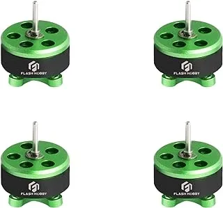 4PCS 0802 Brushless Motor 22000KV FPV RC Motors 1S Micro Drone Motor for RC Multicopter FPV Drone Quadcopter(22000-2CW+2CCW)