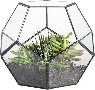 NCYP 15cm Small Glass Geometric Terrarium Planter, Handmade Garden Tabletop Pentagon Display Flower Pot for Succulent Cacti Fern Moss Air Plants, Indoor Home Centerpiece (No Plants Included)