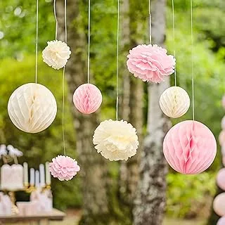 Ginger Ray Eco-Friendly Pom and Honeycomb Hanging Tissue Party Decorations Pack of 8, Pink