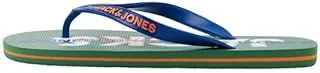 Jack & Jones BRIGHT LOGO FLIP FLOP mens Slide Sandal