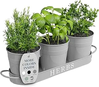 Barnyard Designs Indoor Outdoor Herb Garden Planter Set with Tray, Metal Windowsill Herb Pots, Grey, Set/3