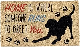 DII Pet Print Collection Natural Coir Doormat, 17x29, Home Dog