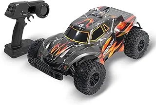 Sam Toys - RC Light Range Rider