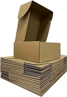 10 PACK Double Wall Shipping Boxes 15 x 10 x 3.5 Inches (40x26x9CM) Small Carton Cardboard Boxes for Mailing, Packaging, Shipping E-Commerce Packages, Gift Box - 10 Pack