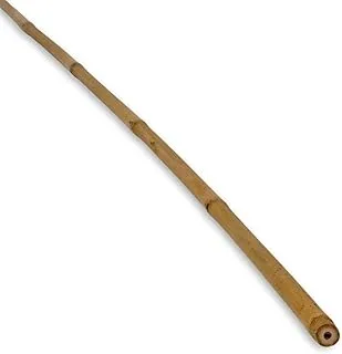 Egardenkart Garden Bamboo Pole Stake Stick 10-Pieces, 60 cm Size