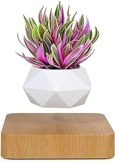 Levitating Air Bonsai Pot, Rotation Flower Pot Planters, Magnetic Levitation Suspension Floating Pot, Potted Plant Home Desk Decor in Flower Pots & Planters from Home & Garden on (Light Color)