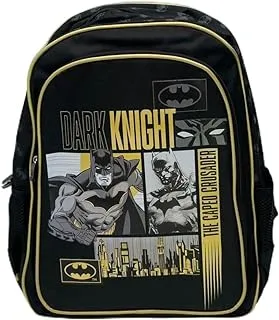 BATMAN School Backpack 16