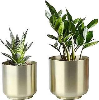 Vixdonos Brushed Gold Plated Plant Pots Indoor, 6/5.2 Inch Pack 2 Metal Planter Flower Pots with Drainage Hole (Champagne Gold)