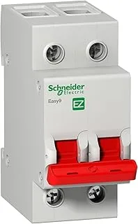 Schneider Electric Easy9 2P 125 A 400 V Switch Disconnector