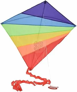 BigBuy Outdoor Kite, Multi-Colour, 87 x 81 cm