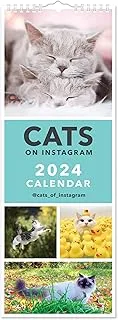 Cats on Instagram Slim Calendar 2024