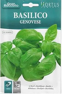 Hortus Sementi Organic Basil Seeds