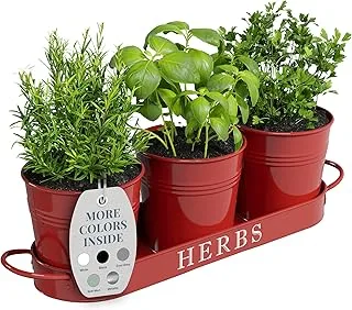 Barnyard Designs Farmhouse Herb Garden Planter Indoor Planter Set with Tray or Outdoor Apartment Window Planter Box, Windowsill Planter Box, Indoor Herb Planter Garden Pots Herb Pots, Red, Set/3