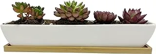 Kipokalor 11.1x2.36x1.77inch Long Rectangular Modern Minimalist White Ceramic Succulent Planter Pot with Saucer for Office,Desk,Window.