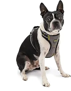 Kurgo Impact Dog Car Harness, Crash Tested, Integrates with Car Seatbelt System, Lightweight, Small-Black/Charcoal Grey