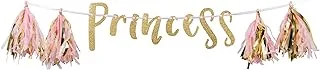 Princess Glitter Banner 7in x 5in 1ct