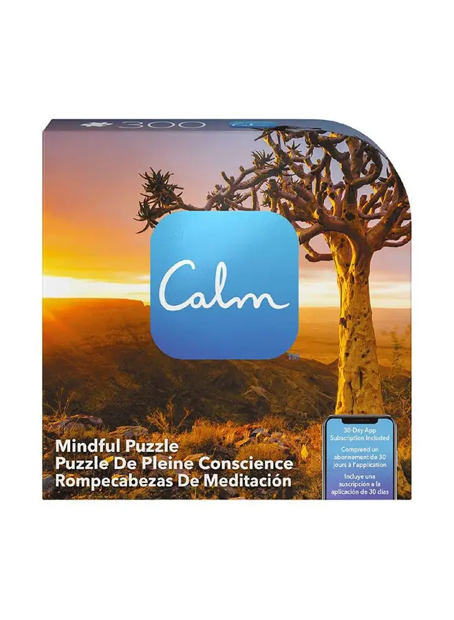 Spin Master Games Calm Mindful Timed Meditation 300 قطعة ، مساعد 1 لاعبين