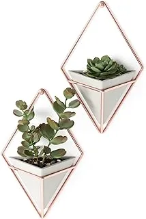 Umbra Trigg Hanging Planter Vase & Geometric Wall Decor Concrete Container - Great For Succulent Plants, Air Plant, Mini Cactus, Faux Plants and More, Set of 2, Small, Concrete/Copper