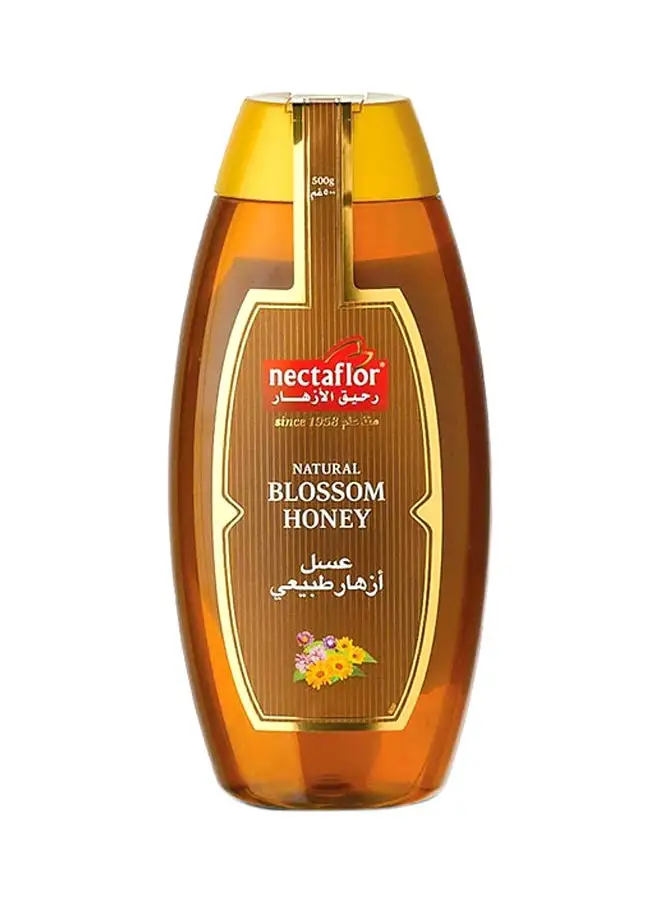 Nectaflor Natural Blossom Bee Honey Squeeze 500grams