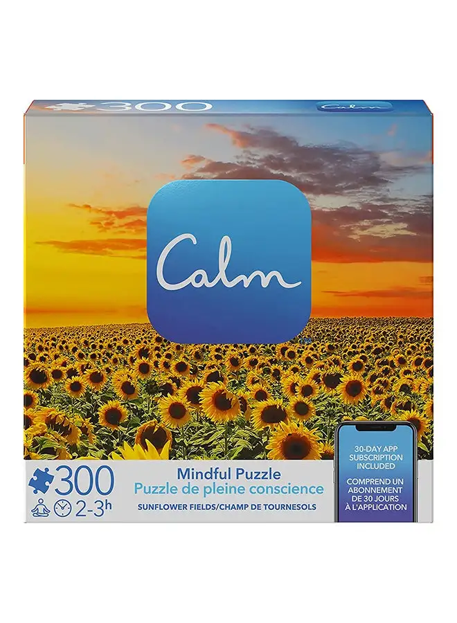 Spin Master Games Calm Mindful 300pc Asst. 1 Players