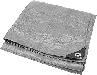 Performance Tool W7004 Tool, Silver Hd Tarp (8 X 10 Ft