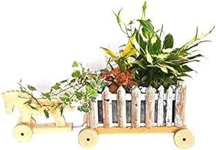 House of Flowers Horse-Cart Plant Arrangements