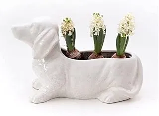 Dubai Garden Centre Portapiante Bassotto Ceramic Dog Planter, White