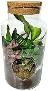 House of Flowers PTA017 Jar Terrarium Plant Arrangements