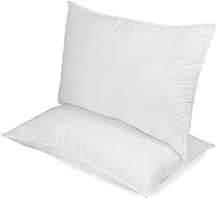 Interhome Kingtex Microfibre Single Press Pillow1 Pc, 48 X 70 Cm, White, pp111401.01