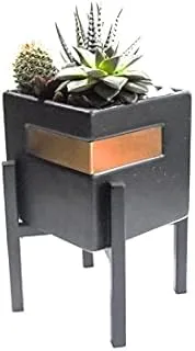 House of Flowers Succulent Mix Arrangement in Black Square Pot with Stand