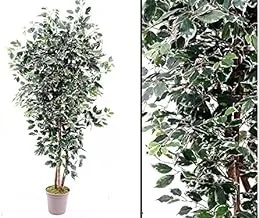 Dubai Garden Centre Elegance Artificial Ficus, Green