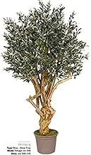 Dubai Garden Centre Jamaica Artificial Olive Tree, Green