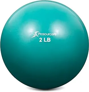 ProsourceFit Weighted Toning Exercise Balls for Pilates