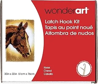 طقم خطاف مزلاج الحصان الكلاسيكي من Wonderart ، 20 × 30 بوصة