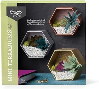 Craft Crush — Mini Plants Terrariums Easy Fun Arts and Craft Kit — Make 3 Charming Faux Terrariums! — For Ages 13 and Up