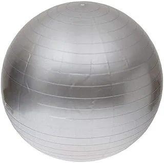 Silver Anti Burst Gym Ball 65cm Fitness Yoga Exercise Home Pregnancy Birthing