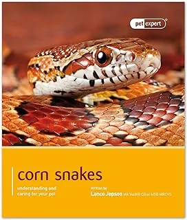 MAGNET & STEEL Corn Snake - Pet Expert