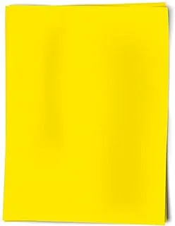 Royal Consumer Brites Neon Canary Poster Board, 22 x 28 Inches, 25 Sheets/Pack, fluorescent canary (23302B)