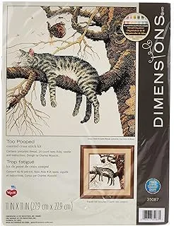 Dimensions Counted Cross Stitch Kit 11