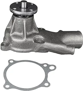 ACDelco Professional Water Pump Kit,252-593