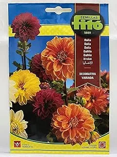 SEMILLAS FITO Fito Dahlia Decorative Mix Flower Seeds