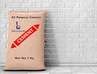 Bluebells Cement Grey Powder,5kg