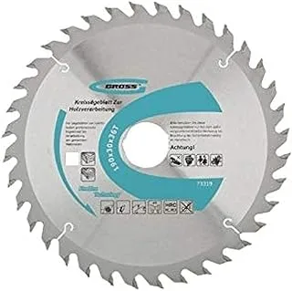 Gross Circular Saw Blade For Wood (190 X 30/36 X 24T)