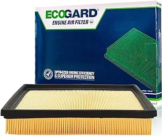 ECOGARD XA10190 Premium Engine Air Filter Fits BMW 328i 2.0L 2012-2016, xDrive 2013-2016, 320i 2012-2018, 2013-2018, 428i 2014-2016, 2014-2016