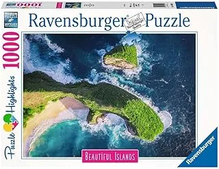 RAVENSBURGER PUZZLE 16909 Adult Puzzle