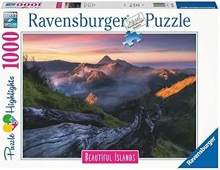 RAVENSBURGER PUZZLE 16911 Adult