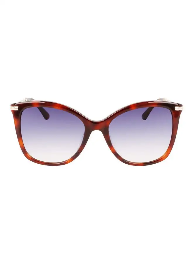 CALVIN KLEIN Women's Full Rim Acetate Butterfly Sunglasses CK22514S 5518 (220) Brown Havana