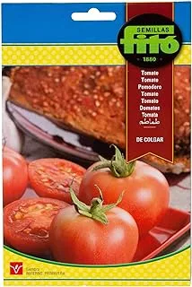 SEMILLAS FITO TOMATO DE COLGAR